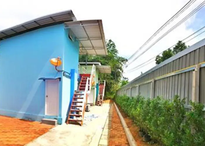 The Box House