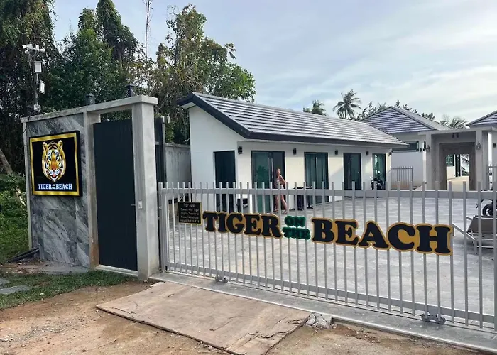 Tiger On The Beach